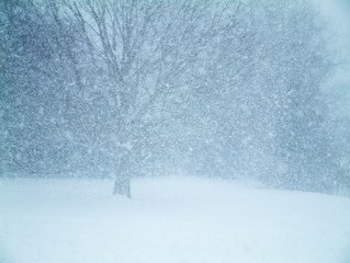 Weather Late Start
